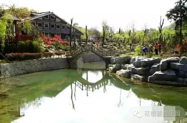 這個周末，隴南康縣花橋有大事要發(fā)生？