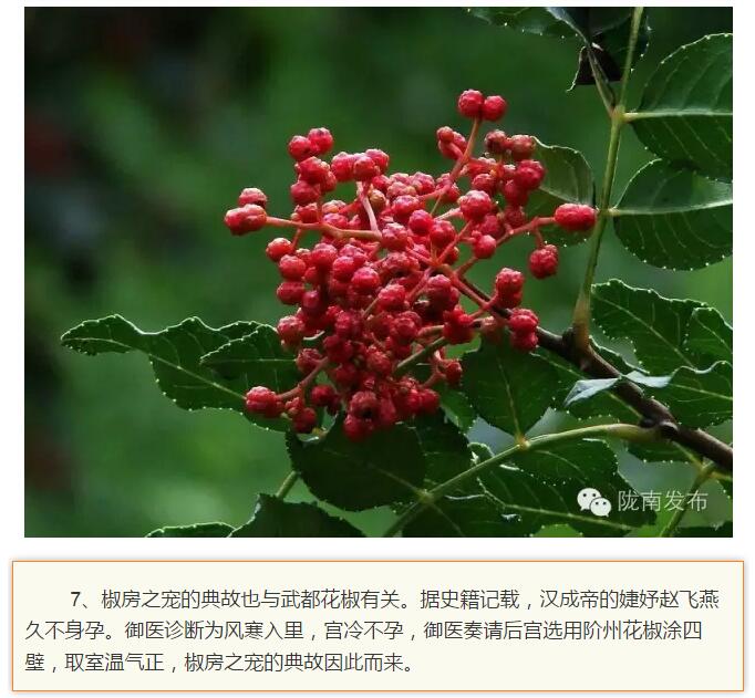 蘭渝鐵路最早由孫中山先生提出？在隴南，你不知道的事兒還有……