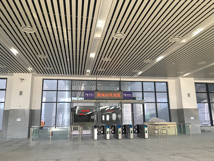 全國(guó)、省市政協(xié)委員體驗(yàn)蘭渝鐵路、視察階州廣場(chǎng)