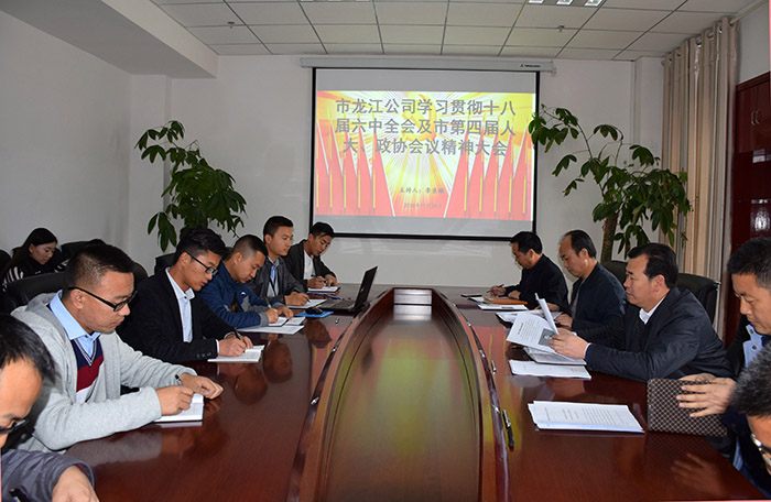 市龍江公司召開全體員工大會，專題傳達學(xué)習(xí)上級會議精神
