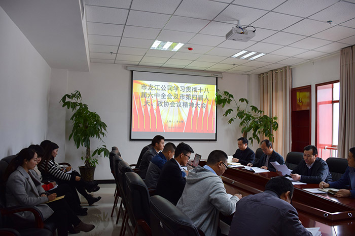 市龍江公司召開全體員工大會，專題傳達學(xué)習(xí)上級會議精神