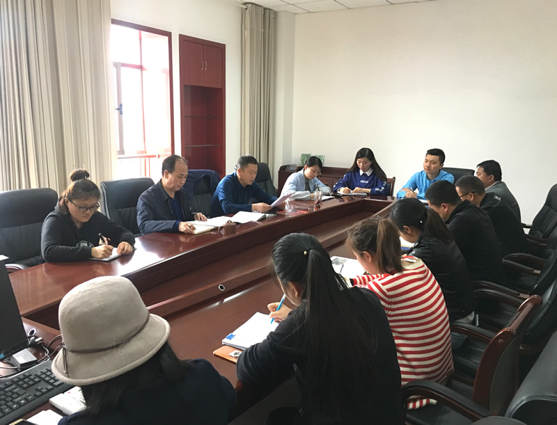 市龍江城鄉(xiāng)發(fā)展集團專題學習近期中央、省、市紀律檢查委員會議精神