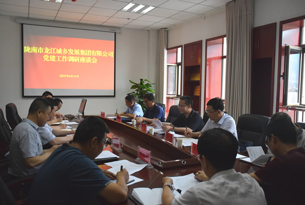 隴南市委常委、組織部部長(zhǎng)楊郃調(diào)研指導(dǎo)市龍江城鄉(xiāng)發(fā)展集團(tuán)公司黨建工作