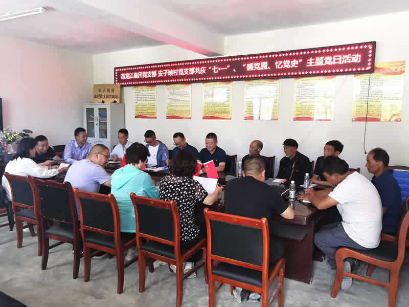“感黨恩、憶黨史”，--市龍江城鄉(xiāng)發(fā)展集團(tuán)公司開展慶祝建黨99周年主題黨日活動(dòng)