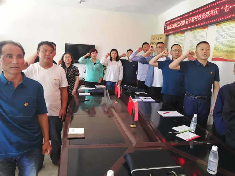 “感黨恩、憶黨史”，--市龍江城鄉(xiāng)發(fā)展集團(tuán)公司開展慶祝建黨99周年主題黨日活動(dòng)